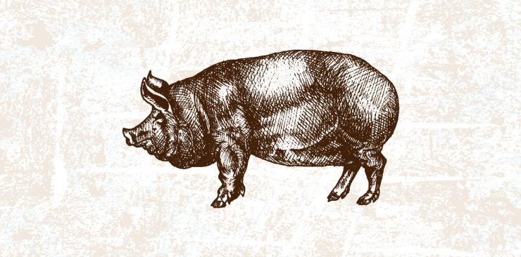 El cerdo blanco. Una carne mejor de lo que te imaginabas